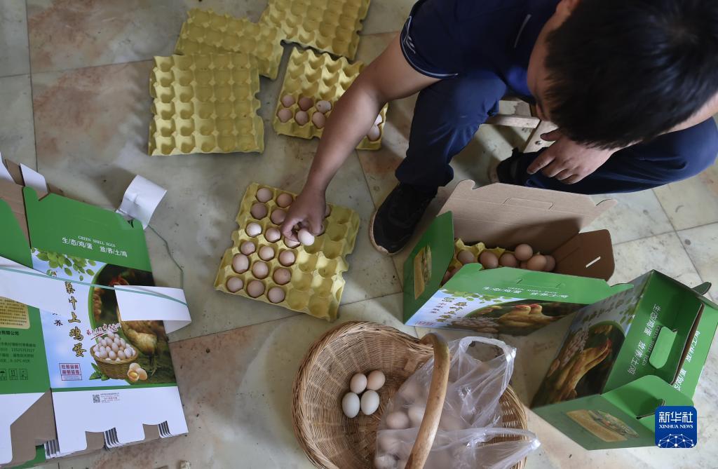 龙虎国际平台登录